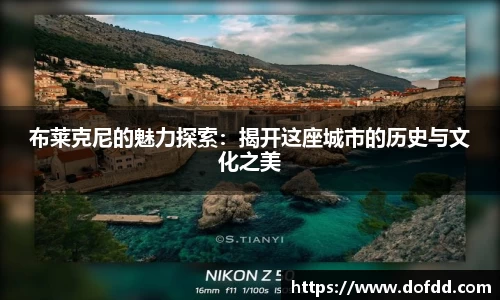 布莱克尼的魅力探索：揭开这座城市的历史与文化之美